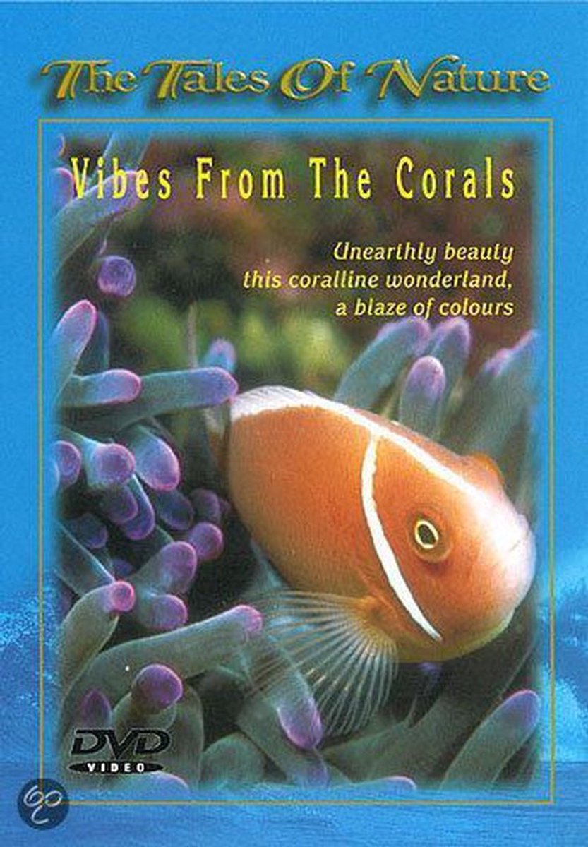 Vibes From The Corals