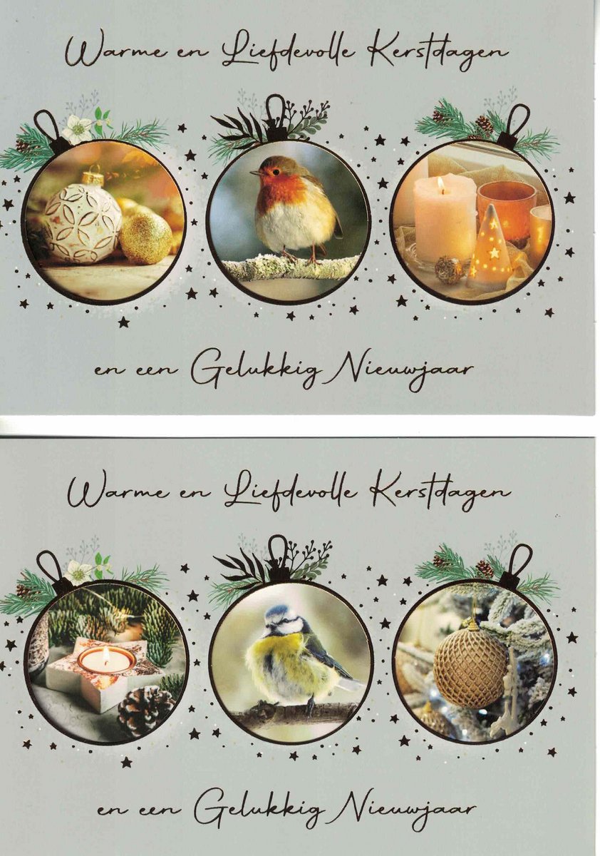 Wenskaarten - kerstkaart - set van 8 - 8 luxe kerstkaarten - 2 x 4 luxe kerstkaarten met envelop