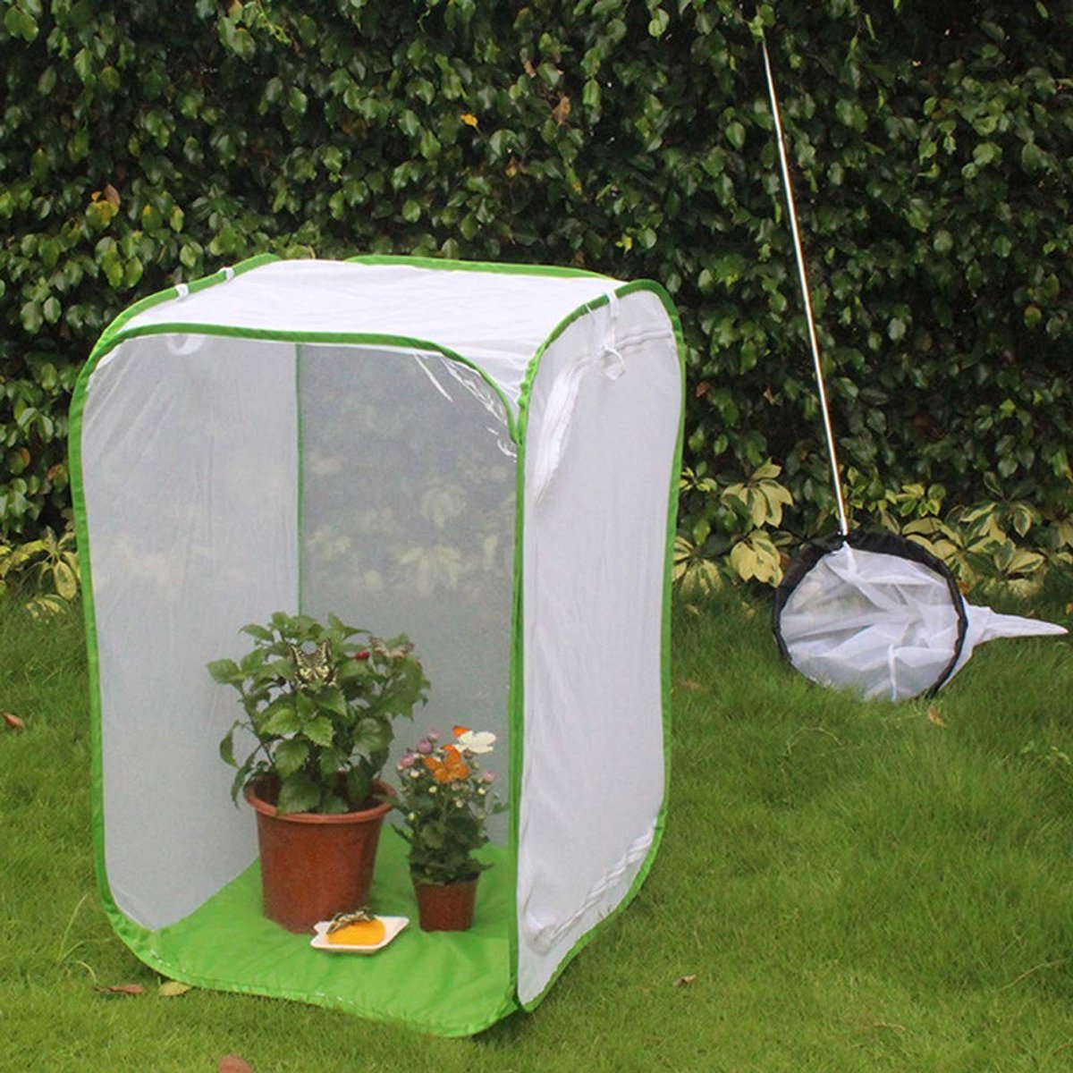 Solidchoice - Ventileerde Groeikooi voor Insecten met Rits en Polyester Net