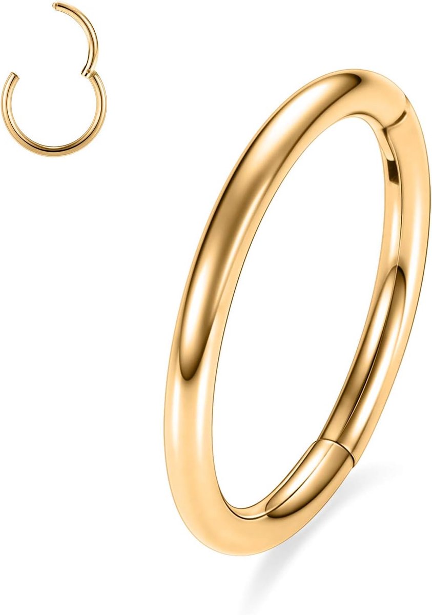 G23 Titanium Hinged Neusring Hoop 20G 18G 16G 14G 12G 10G Naadloze piercingringen voor neusschotel kraakbeen helix tragus conch rook, daith lobe diameter 6 mm tot 14 mm, Titanium