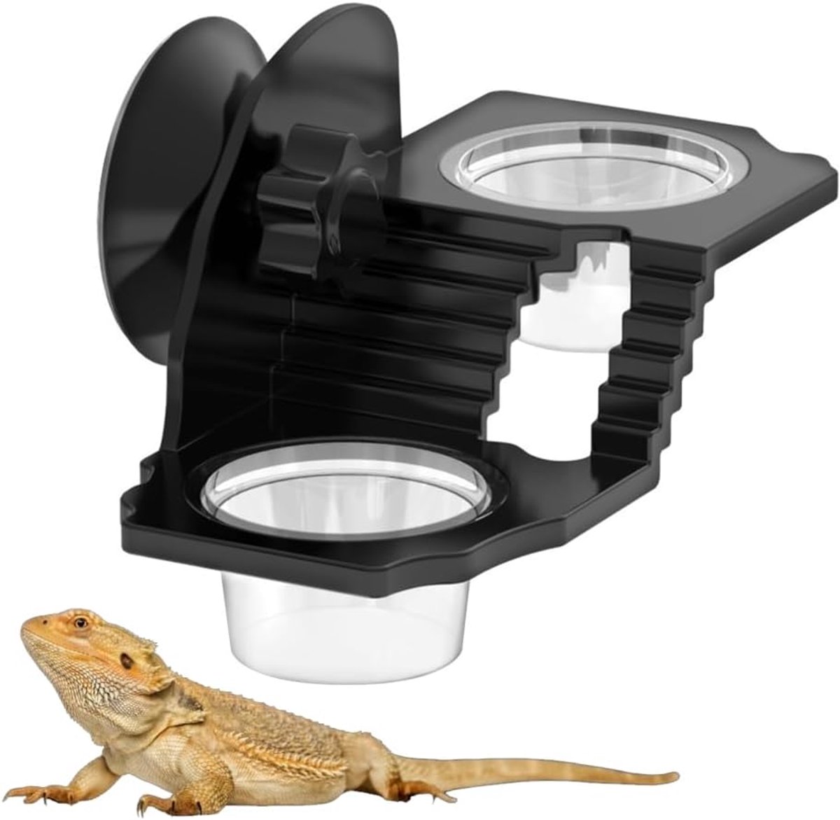 Hangende gekko-voeder met 1/2 stuks kom voor hagedis, schildpad, schorpioen, duizendpoot, crested gekko's'