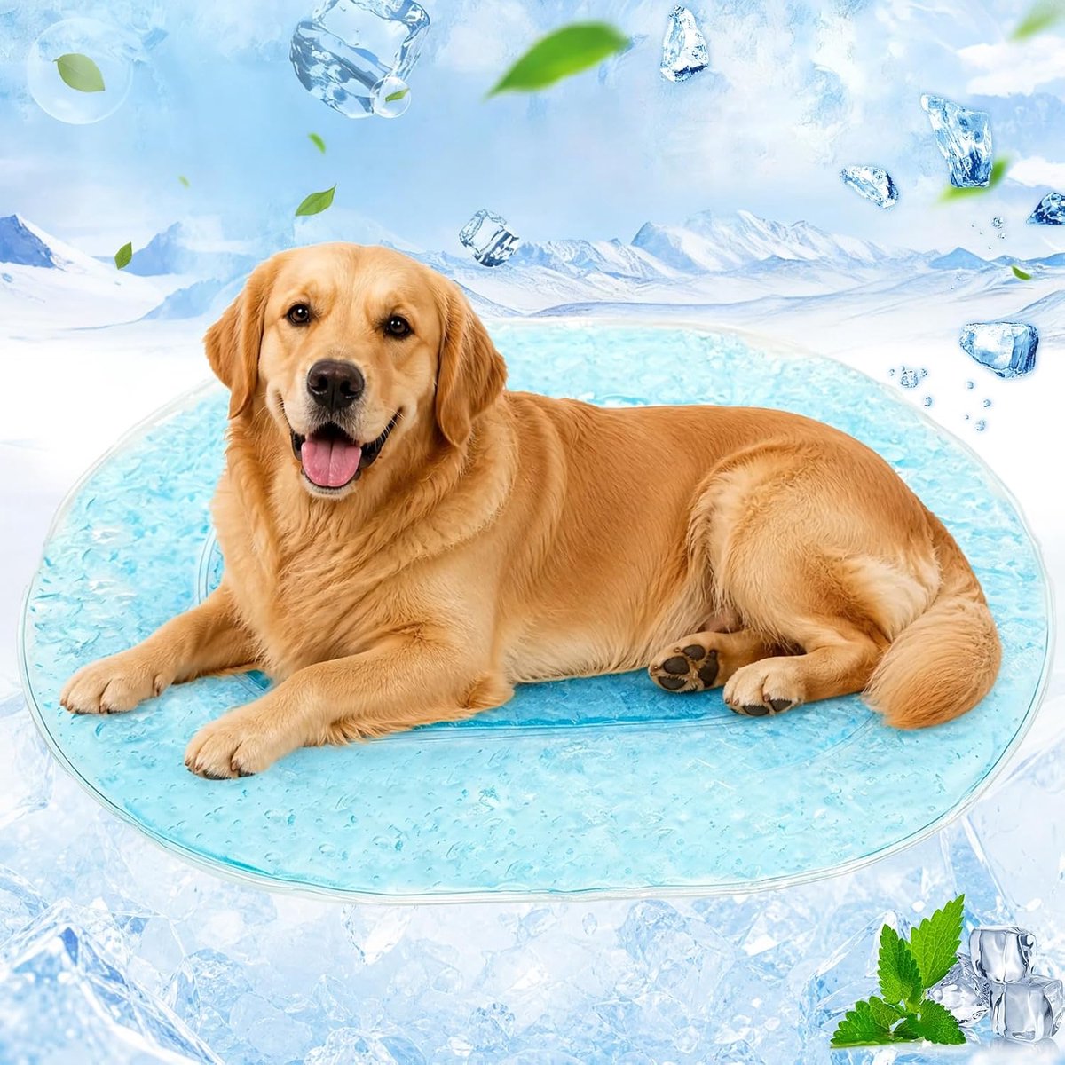 Koelmat voor honden en katten, 80 x 60 cm, zelfkoelende gel koelpad, hondenmat, krasbestendig en niet giftig, zichtbare koelkracht zonder stroom, waterdichte hondenkoeldeken voor auto, bank