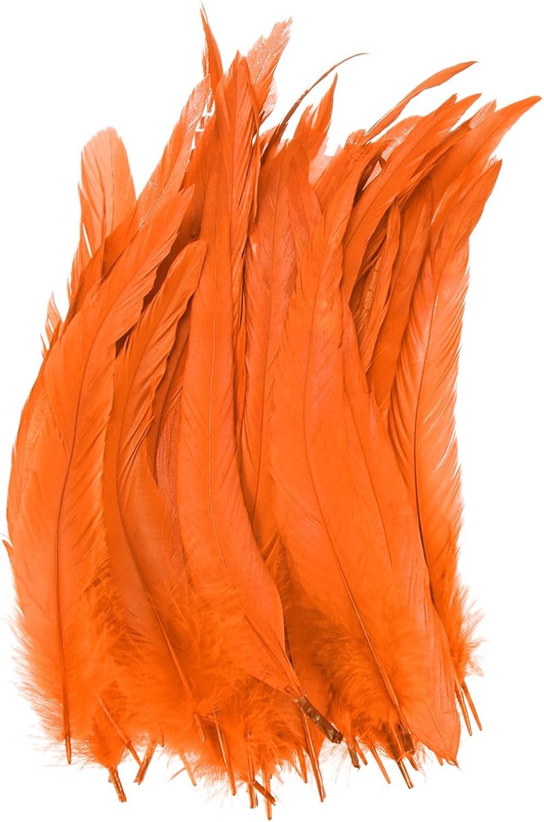 METERXITY Set van 20 natuurlijke hanenstaartveren, 25-30 cm lange hanenstaartveren voor knutselen/bruiloft/dromenvanger/doe-het-zelf knutseldecoraties [oranje]