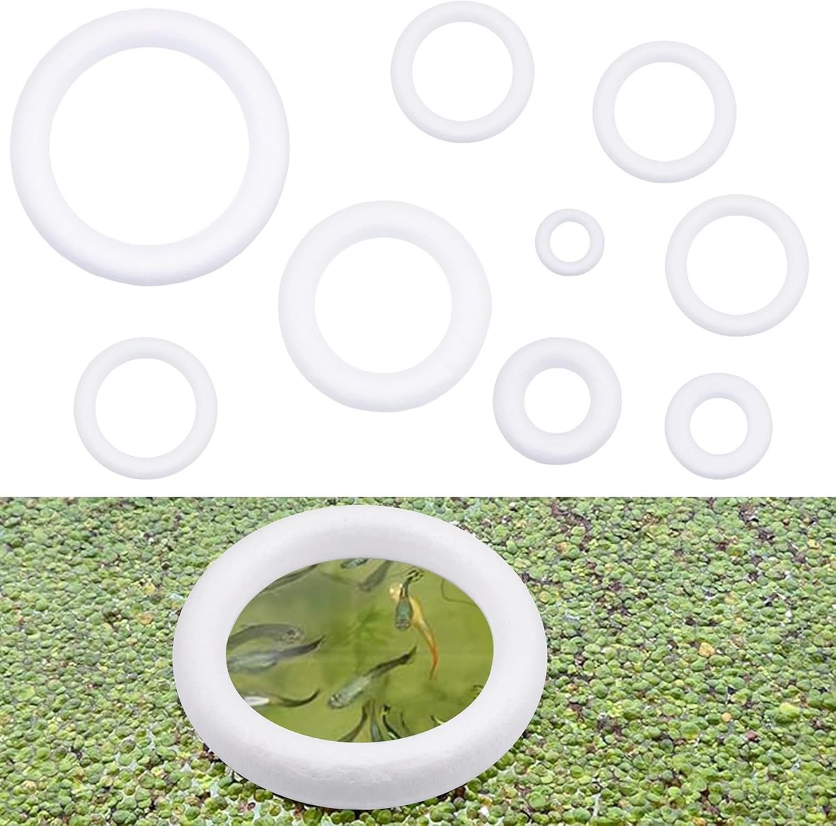9 stuks drijvende plantenringen voor aquaria, schuimrubberen ring, drijvende plantenkoraal, zwemring, voederdispenser voor het scheiden van drijvende planten (6 maten)