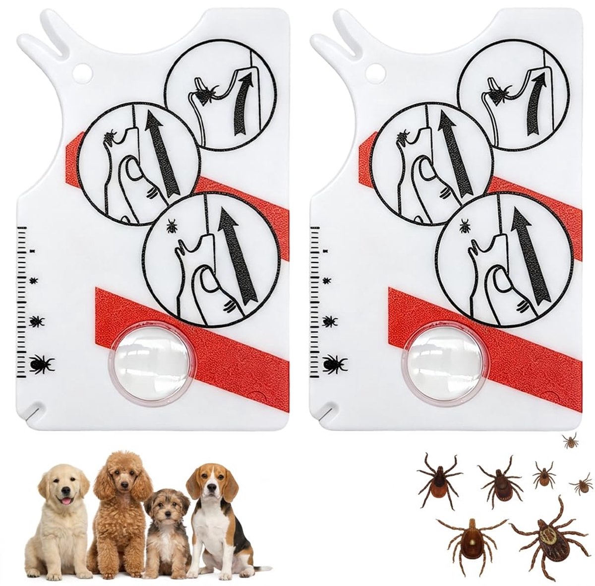 Tekenkaart met vergrootglas - snelle reiniging van teken - voor mens, hond en kat - eenvoudig in gebruik - SnelShoppen