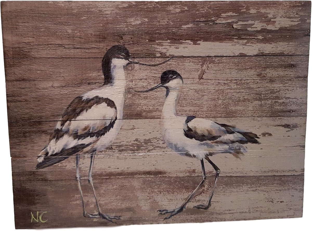 Houten schilderij watervogel 33 x 25 cm - Kluten schilderij - Geschikt voor binnen en buiten - Makkelijk op te hangen - ShopVlot