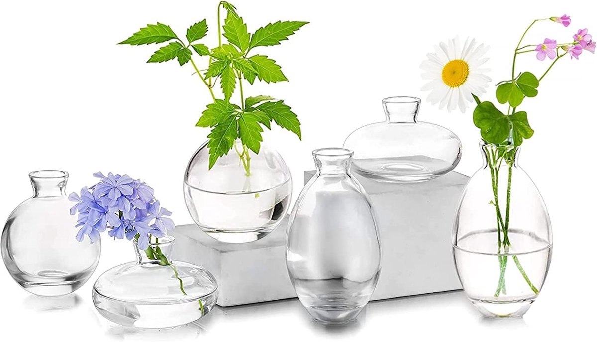 Budvazen 6 stuks - heldere glas mini vases - stevige constructie - perfect voor tafeldecoratie - ShopVlot