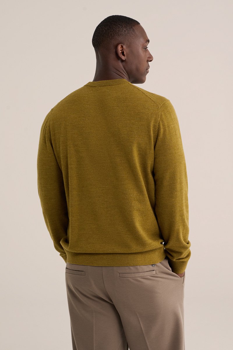 WE Fashion Heren regular fit trui van merinowol
