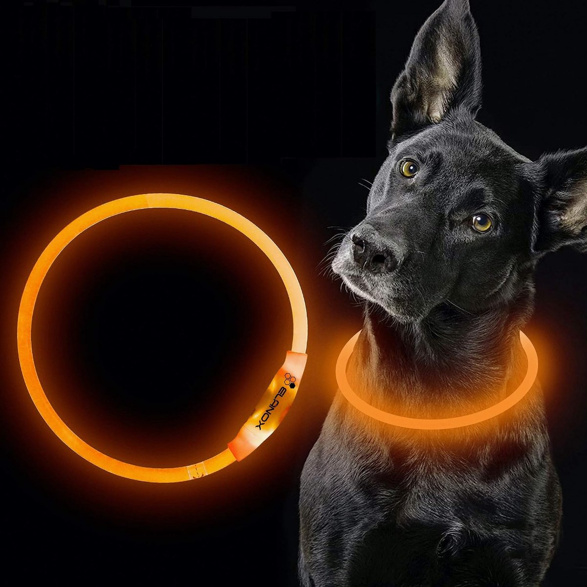 LED hondenhalsband oplaadbaar - universele maat - oranje - veilig tijdens nachtelijke wandelingen - ShopVlot
