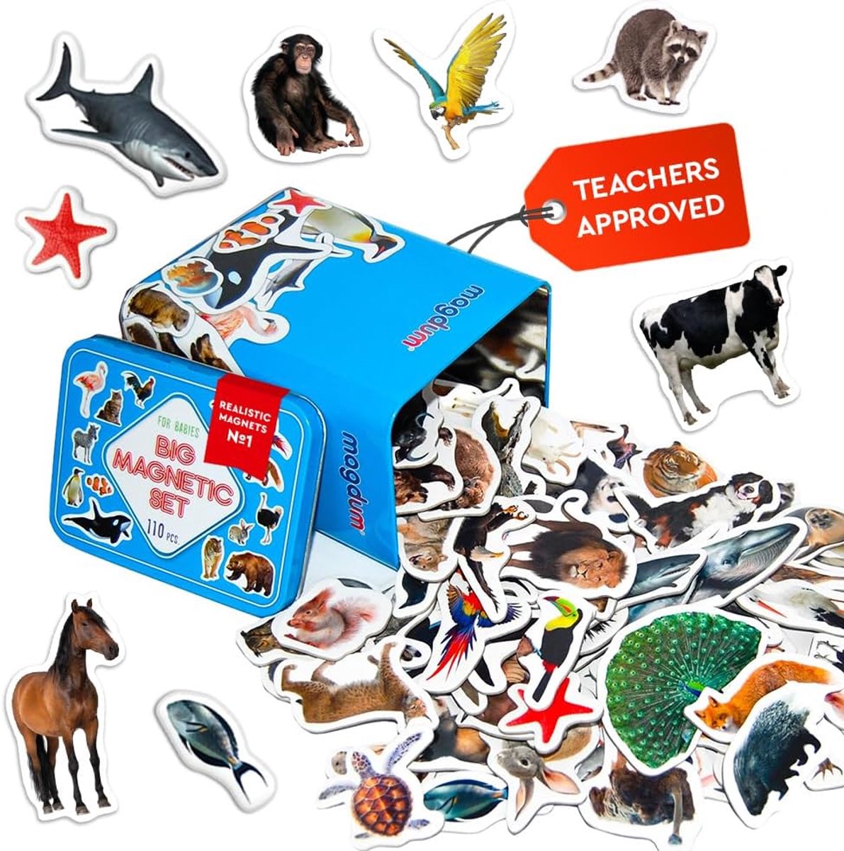 Magneten voor Kinderen 110 Dierentuin, Boerderij, Bos, Zee, Vogel - Grote Realistische Magnetische Dieren - ShopVlot