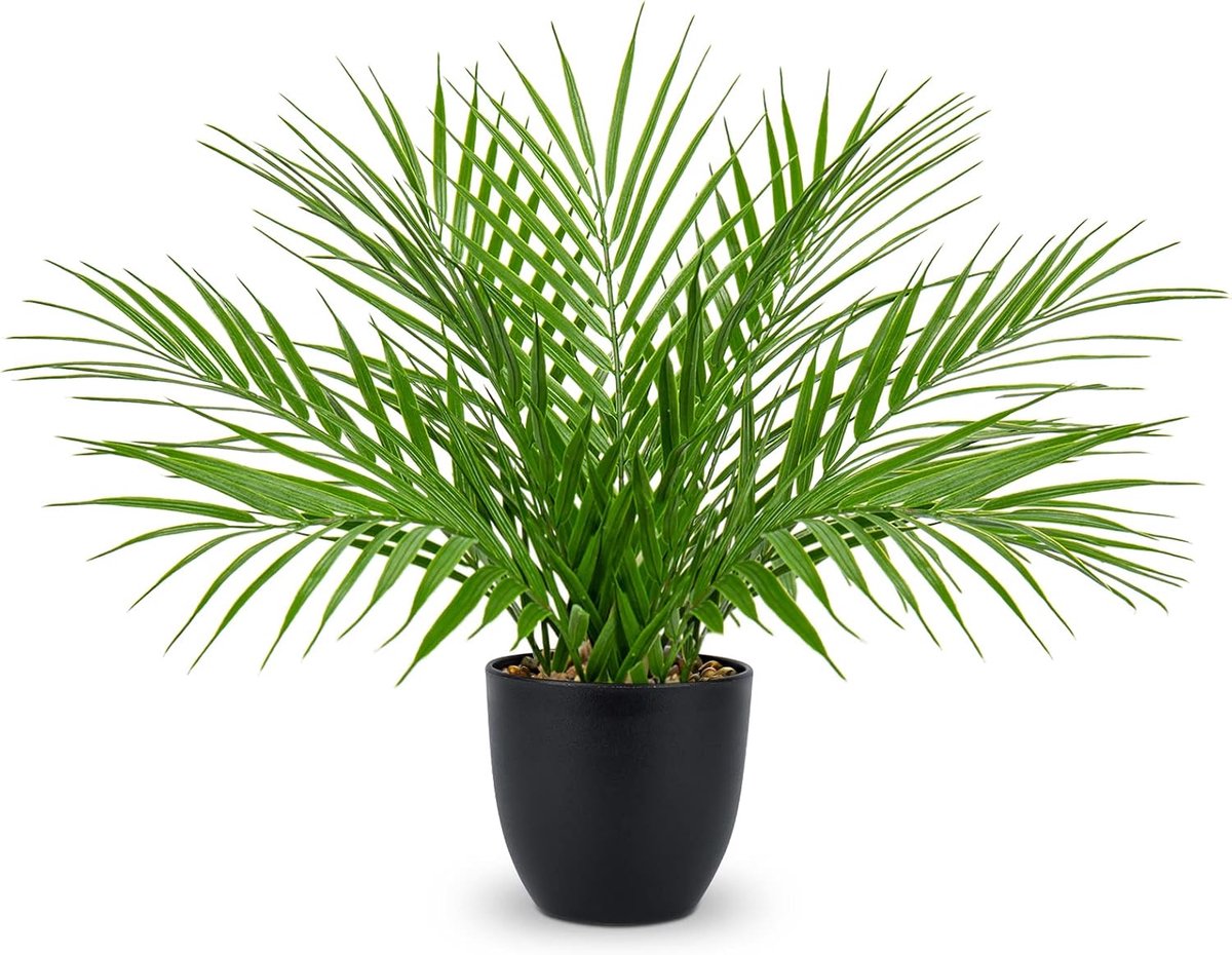 Nepplanten 38cm - Kunststof palm in zwarte pot - Realistisch tropisch uiterlijk - Perfect voor huis en kantoor - ShopVlot