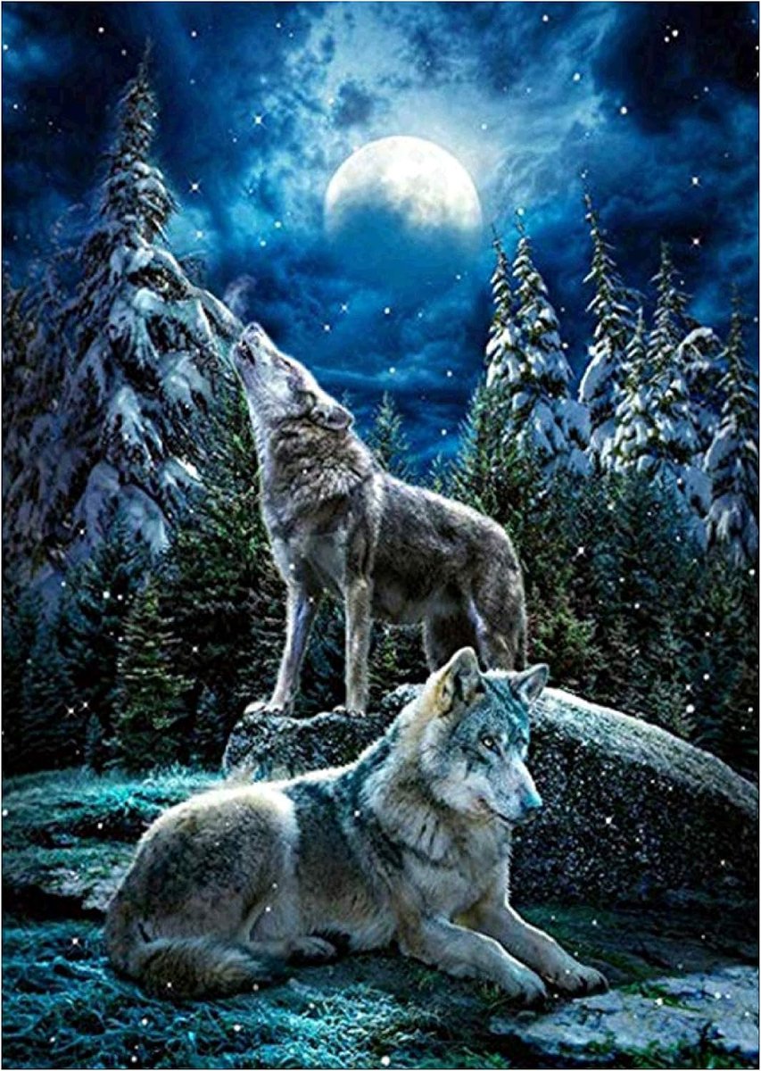 5D Diamond Painting Kit, Wolf in The Moonlight Embroidery Rhinestone Cross Stitch Arts Craft Supply for Home Wall Decor 30x40 cm