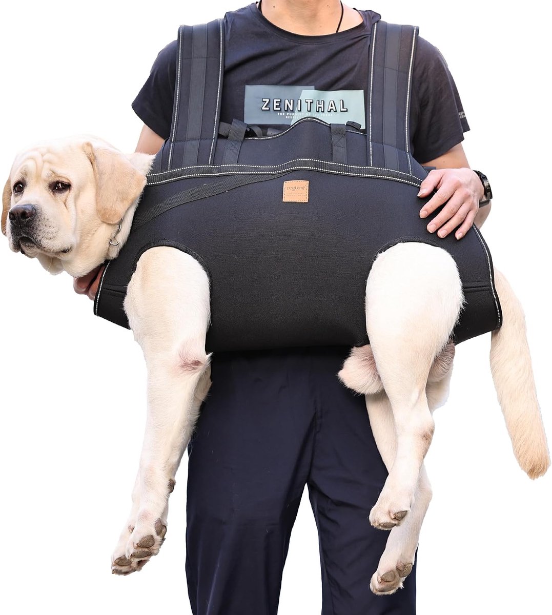 Honden draagtas XXL - Hondenrugzak - Pet beensteun - Voor oudere honden met gewrichtsproblemen - ShopVlot