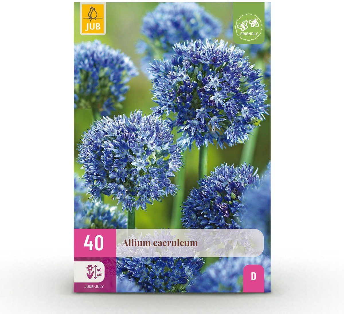 Bloembollen - Allium Caeruleum - Kleur Blauw - 40 stuks - Bolmaat 4/5 - XXL Pack