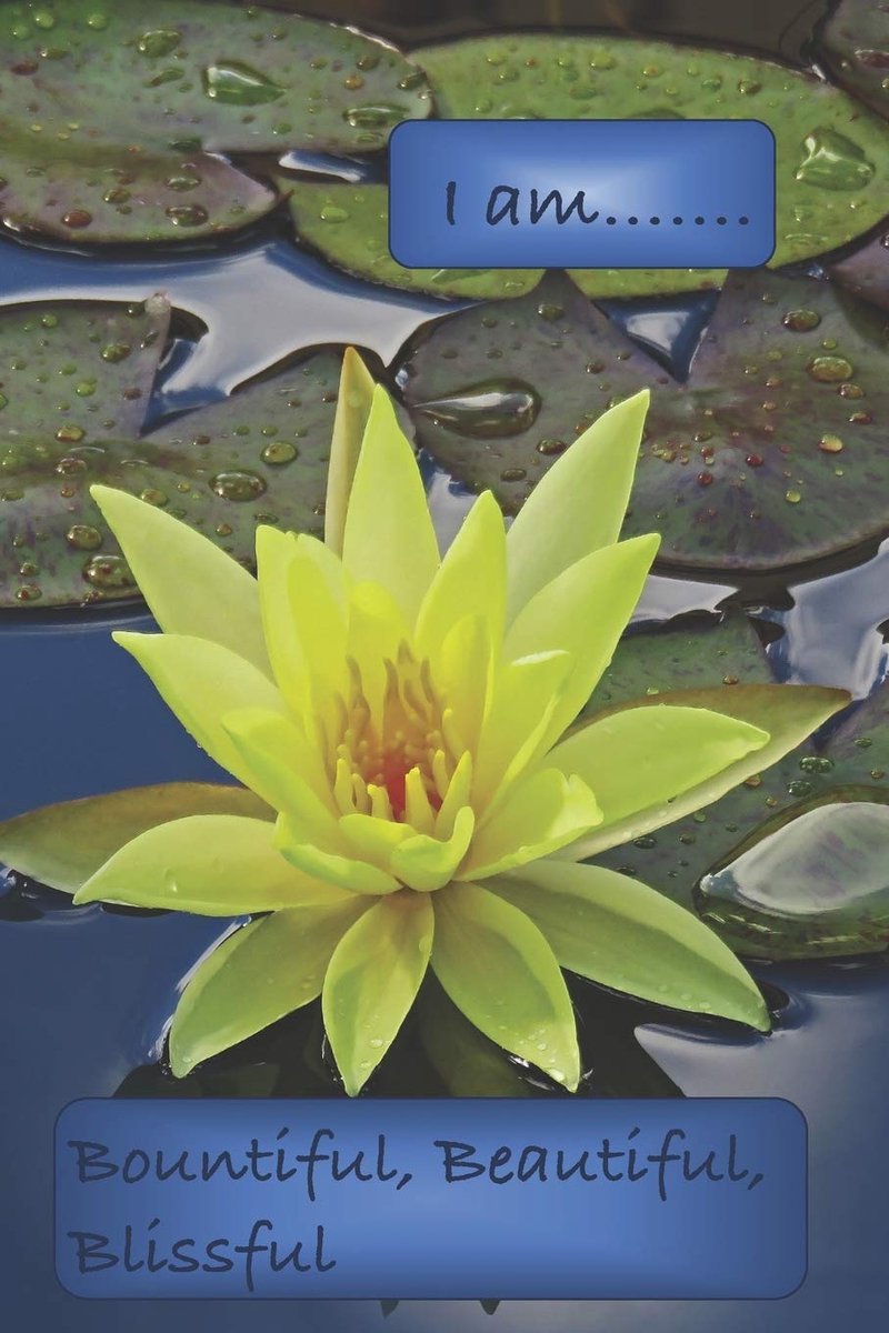 Blissful, Beautiful: A Journal to Practice Self-Acceptance: Lotus in Pond Cover