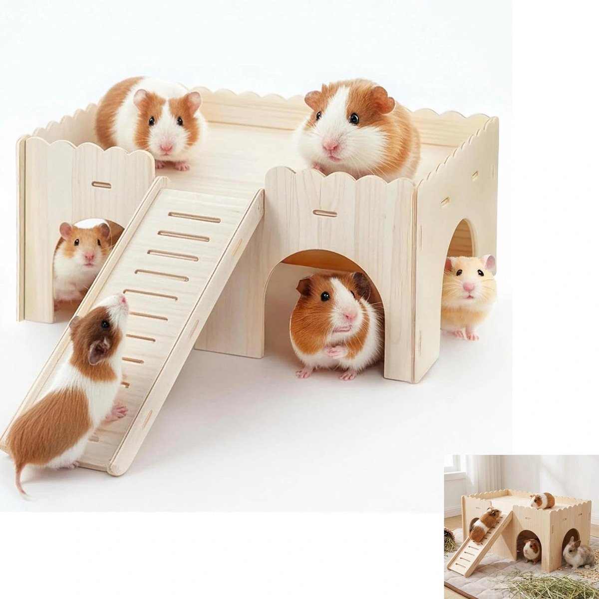 Cavia's activiteitenhuis met helling en 4 ingangen meerkamer verstopplaats & speelplaats voor chinchilla's, hamsters
