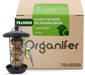 Insecten Vetbollen voor Tuinvogels – 75 stuks x 100 g met Gratis Houder – Gezonde tuinvogels – Met meelwormen en zonnebloempitten – Ondersteunt biodiversiteit – Geschikt voor jaarrond voeren – Natuurlijke dagelijkse energie voor vogels – Organifer