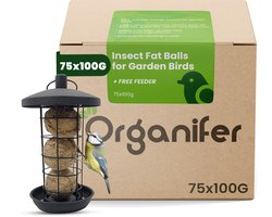 Insecten Vetbollen voor Tuinvogels – 75 stuks x 100 g met Gratis Houder – Gezonde tuinvogels – Met meelwormen en zonnebloempitten – Ondersteunt biodiversiteit – Geschikt voor jaarrond voeren – Natuurlijke dagelijkse energie voor vogels – Organifer