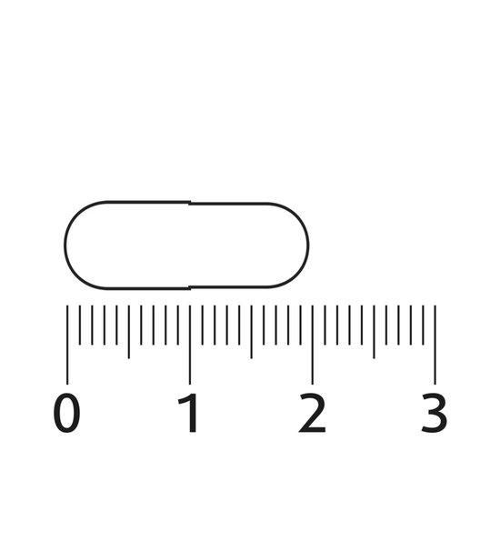 Capsule met liniaal, lengte circa 2 cm.