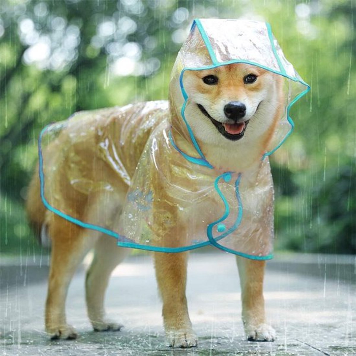 Waterdichte Poncho voor Honden en Katten - Jhubersproducts
