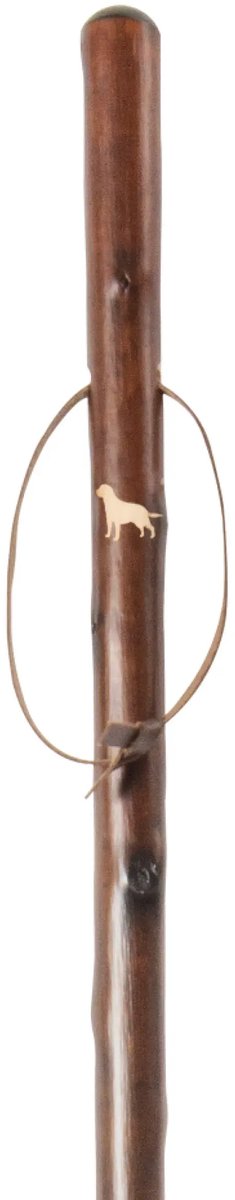 Gastrock Jachtstok - Labrador retriever - Bruin - Kastanjehout - Lengte 113 cm - Gewicht 430 gram - Wandelstokken - Jacht wandelstok - Voor heren en dames - Houten wandelstok - Jagers wandelstok - Wandelstok outdoor - Wandelstok hout