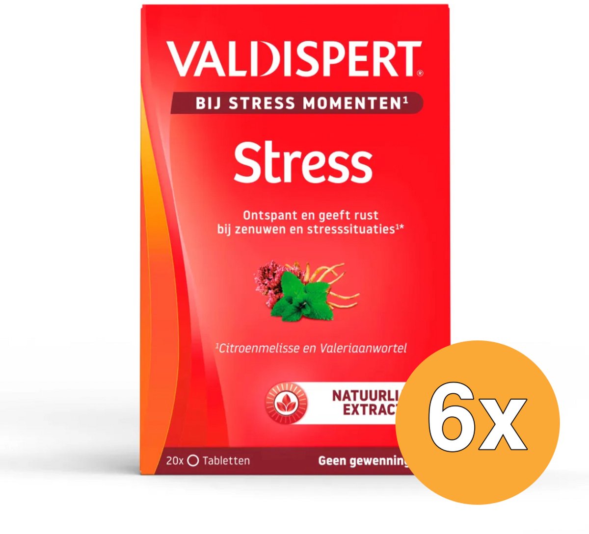 6x Valdispert Stress moments (20 tabletten)