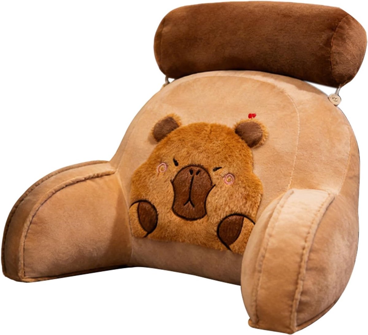 Leeskussen met Armleuningen - Rugkussen Bed Zitkussen - Ontspannen Zitten - Afneembare Hoes - 60 x 40 cm - Multicolor