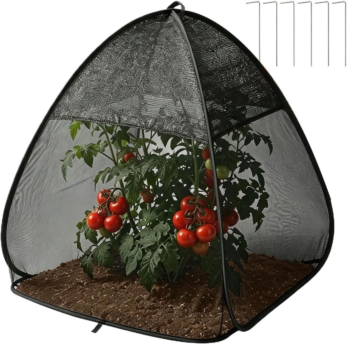 Plantenzonwering Tent - Beschermhoes Planten - Bescherming Tegen Ongedierte - Dubbellaags Gaas - 56x56x56 cm - Zwart