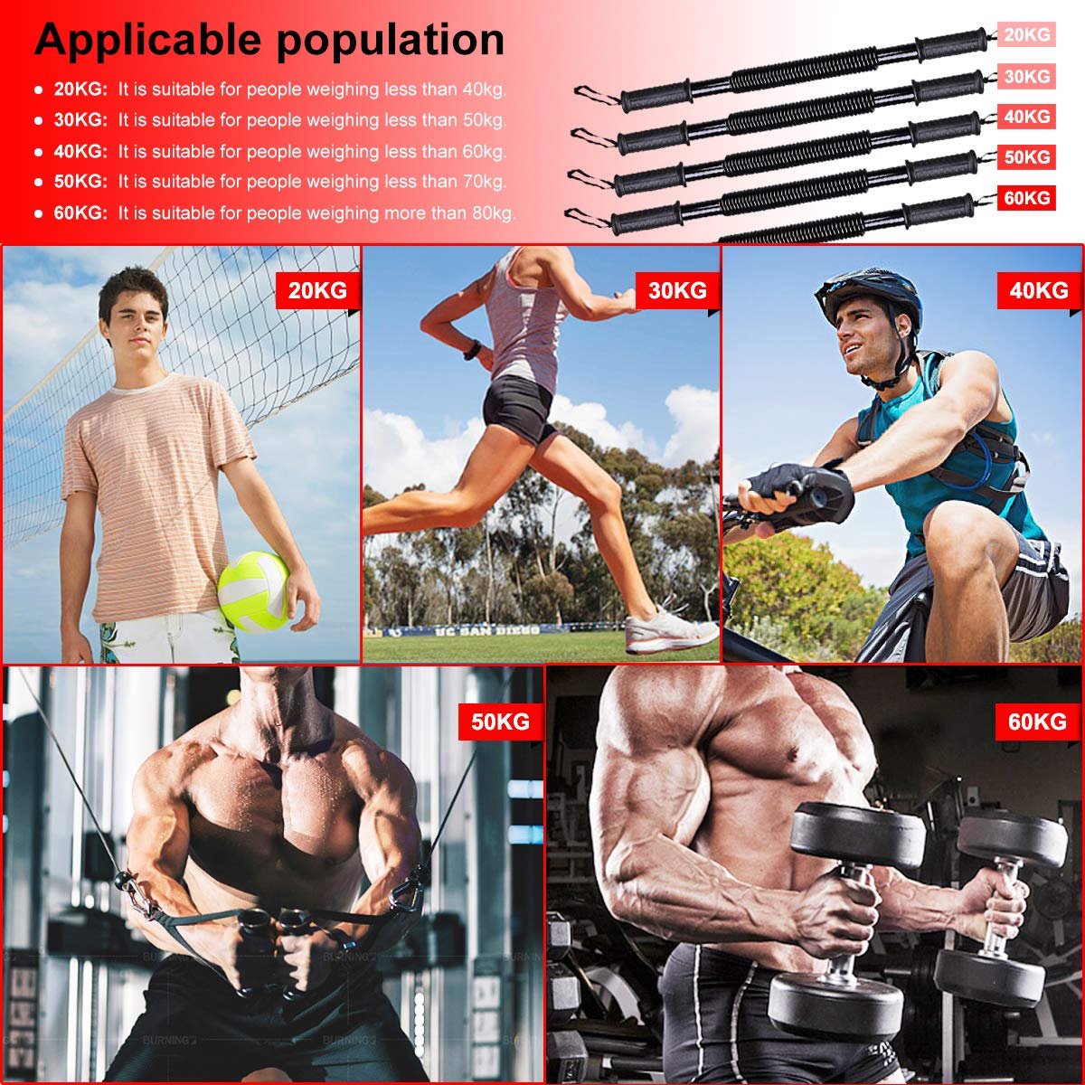 SnelShoppen - Professionele DOBEN Koningsveer Buighalter voor Krachttraining en Fitness - 20 kg, 30 kg, 40 kg, 50 kg, 60 kg - Armtrainer voor Thuis en