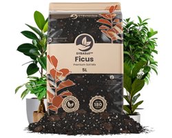 Ficus Mix 5L