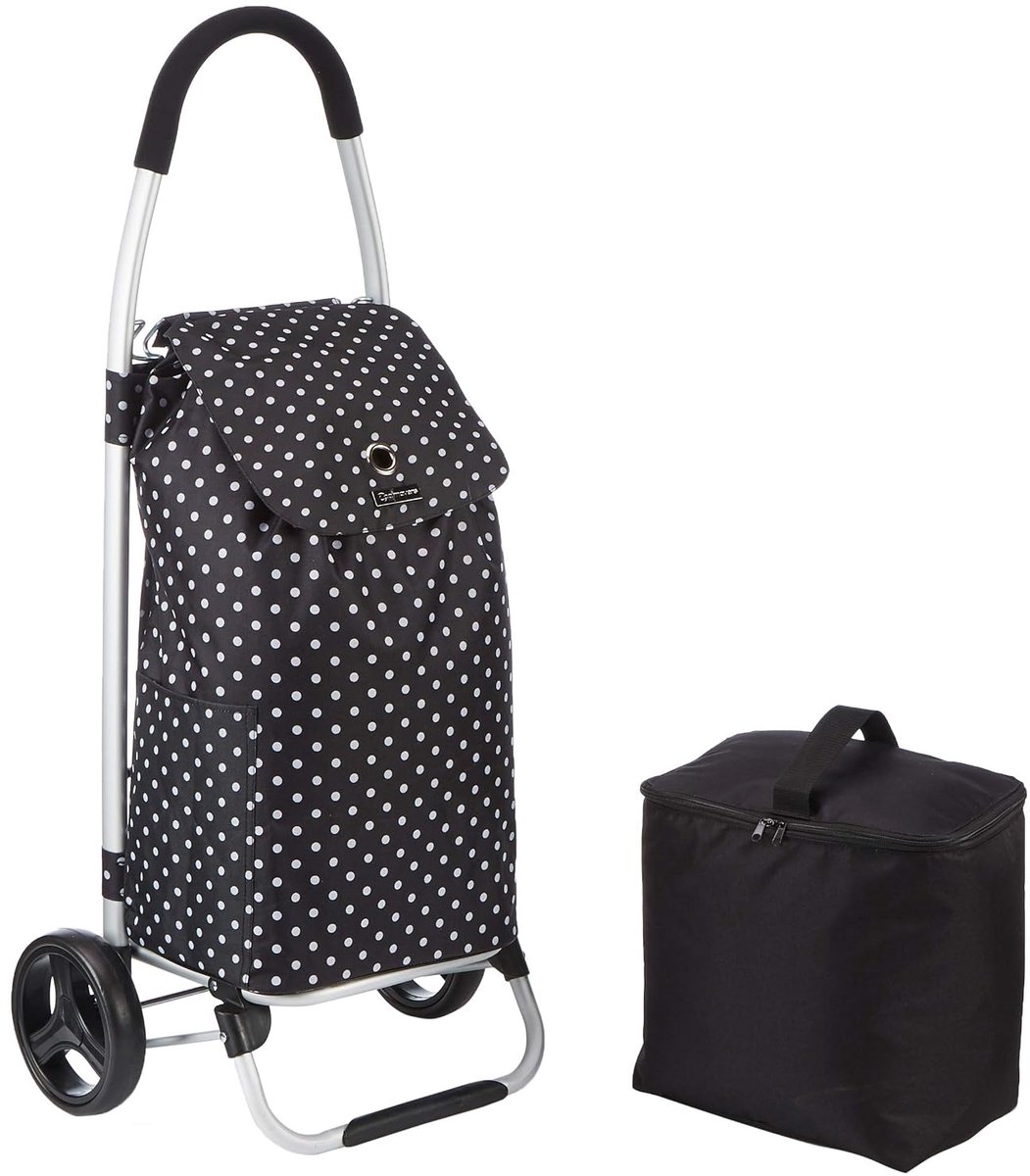 SnelShoppen - Opvouwbare winkelwagen met wielen en afneembare koeltas voor diepvriesproducten, robuust metaal en spatwaterdicht polyester, 45 x 33 x 1