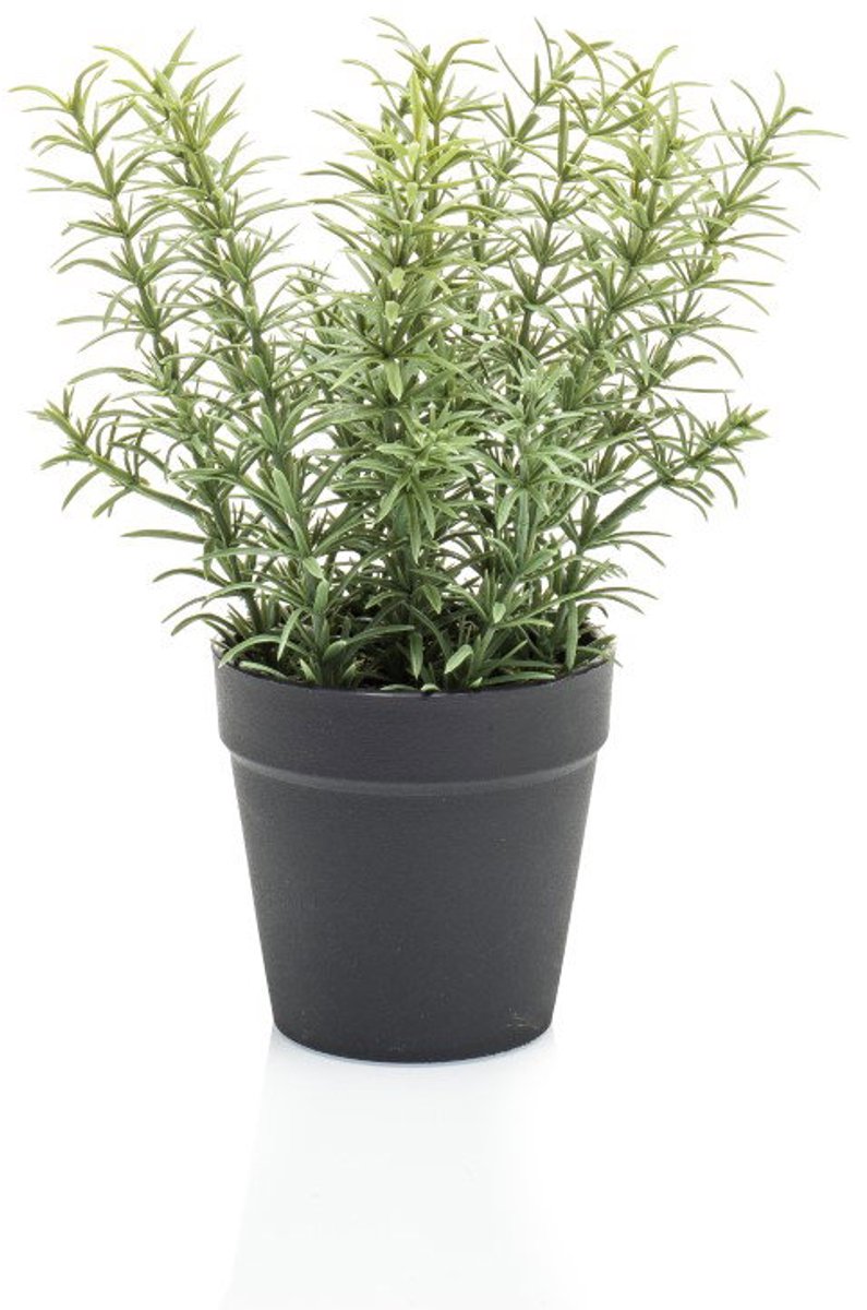 Thyme in black pot 22 cm kunstplant Emerald