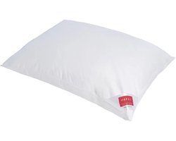 Hefel Gold Dons Medium Hoofdkussen 60 x 60 cm