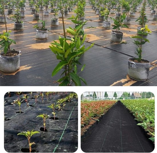 NTHProducts - Weed Cloth - Anti-Weed Doek - Waterdoorlatend en Ademend - 2 m x 2 m - Tuin en Landbouw - Geschikt voor Bloembedden en Potplanten van Nthproducts — afbeelding 5