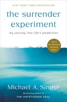 Boek 'the surrender experiment' met een abstracte blauwe zee en lucht, met de titel en auteur Michael A. Singer.