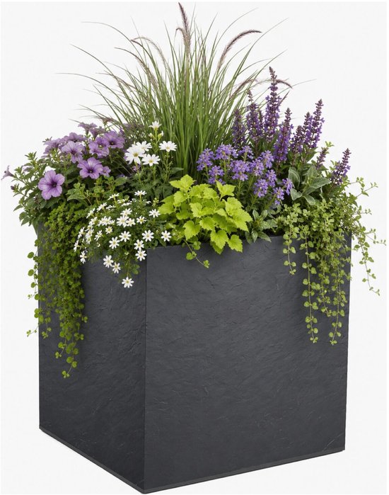 Antracietkleurige kubusplantenbak gevuld met diverse groene en paarse bloemen en grassen.