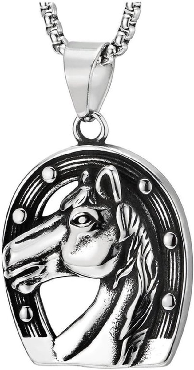 Vintage Sieraden - Halsketting - Roestvrij Staal - Paardenschoenhanger - 75 cm Stalen Tarweketting - Geschikt voor Dames en Heren -