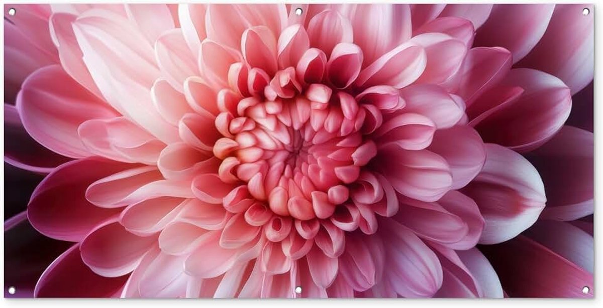 Tuinposter 160x80 cm Balkon Tuindecoratie Poster Garden Outdoor Posters Tuin Decoratie Tuinposters Voor Buiten Terras Tuinmuurdecoratie Dahlia - Bloem - Close up - Roze