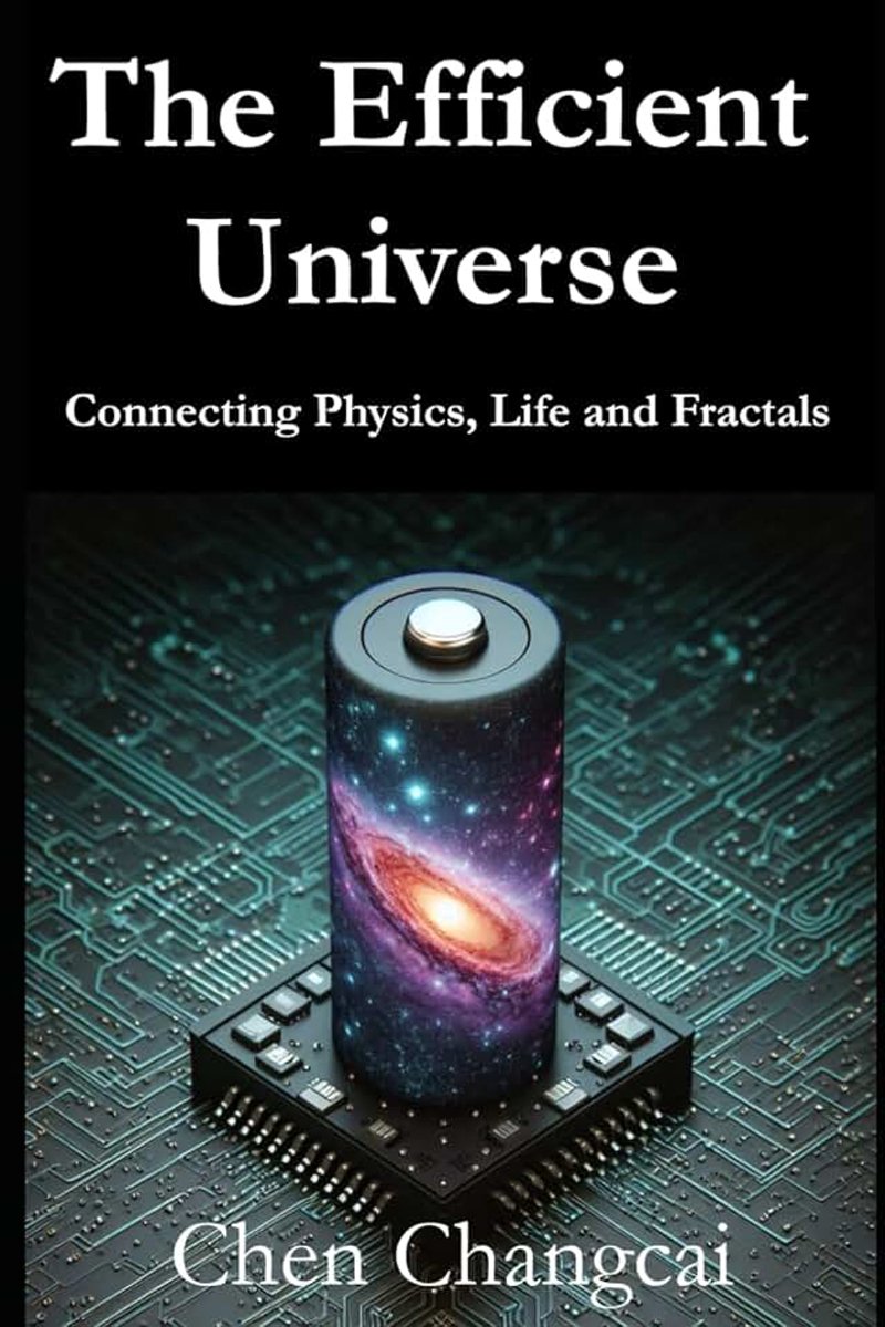 Efficient Universe: Connecting Physics, Life and Fractals
