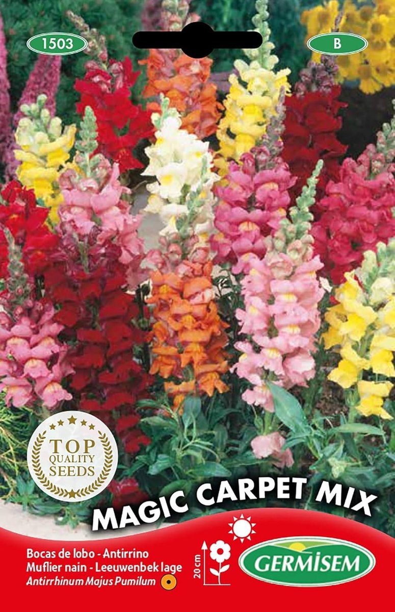 Bloemzaden Mix - Snapdragon - Kleurrijke bloei - Geschikt voor potten en containers - Voor tuinliefhebbers