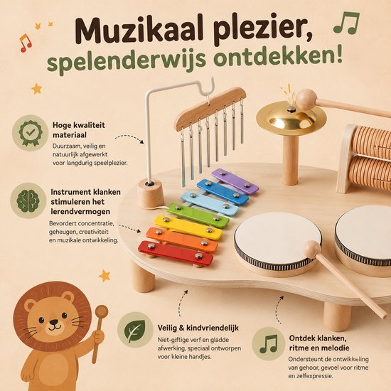 Detail van de houten muziektabel met regenboog xylofoon, trommels, cimbalen, ratel en hamer, met teksten over de voordelen.