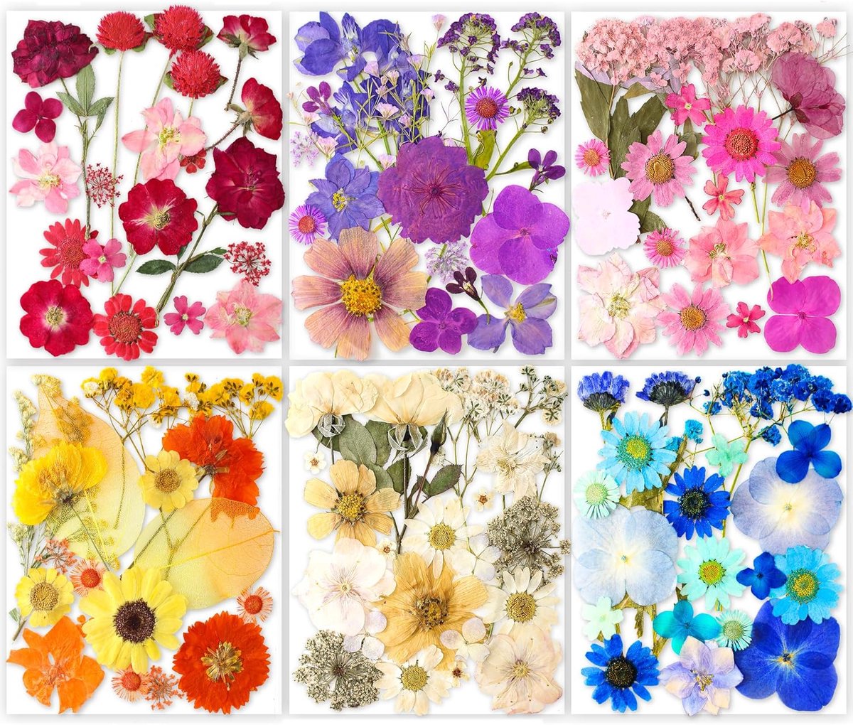 Thijox - 221 Stuks Gedroogde Geperste Bloemen voor Kunsthars, DIY Sieraden, Transparante Vlinderstickerset, Perfect voor Creatieve Projecten, Feestdec
