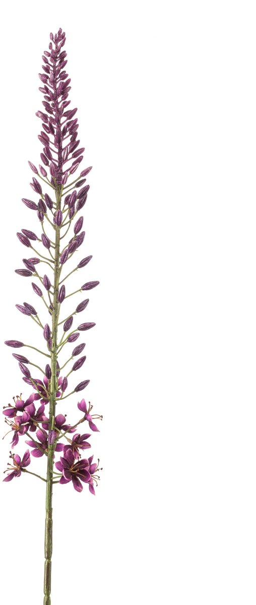Emerald Kunstbloem Eremurus 108cm paars - Kunstplant voor binnen