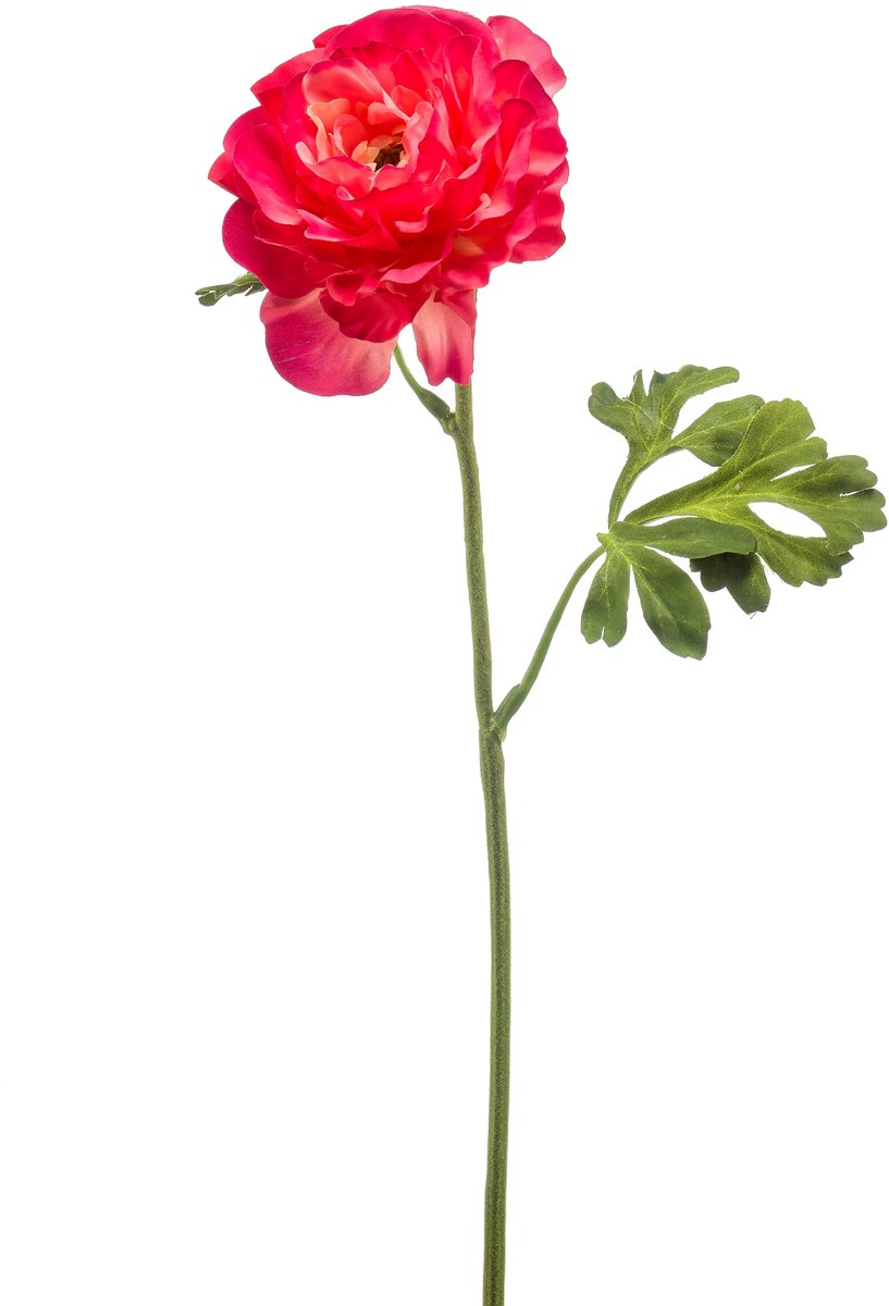 Emerald - Kunstbloem Ranonkel 61cm beauty - Kunstplant voor binnen