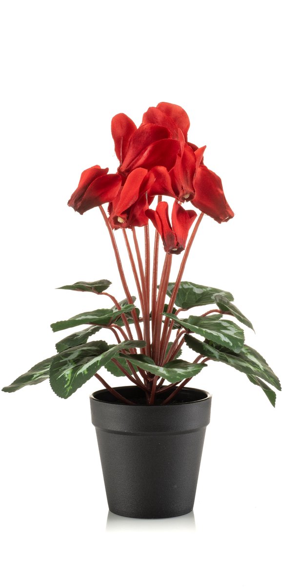 Emerald - Kunstplant Cyclamen in pot 30cm rood - Kunstplant voor binnen