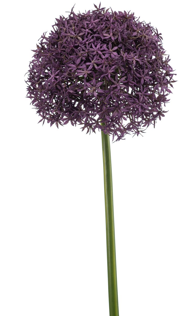 Emerald Kunstbloem Allium XL paars 90cm - Kunstplant voor binnen