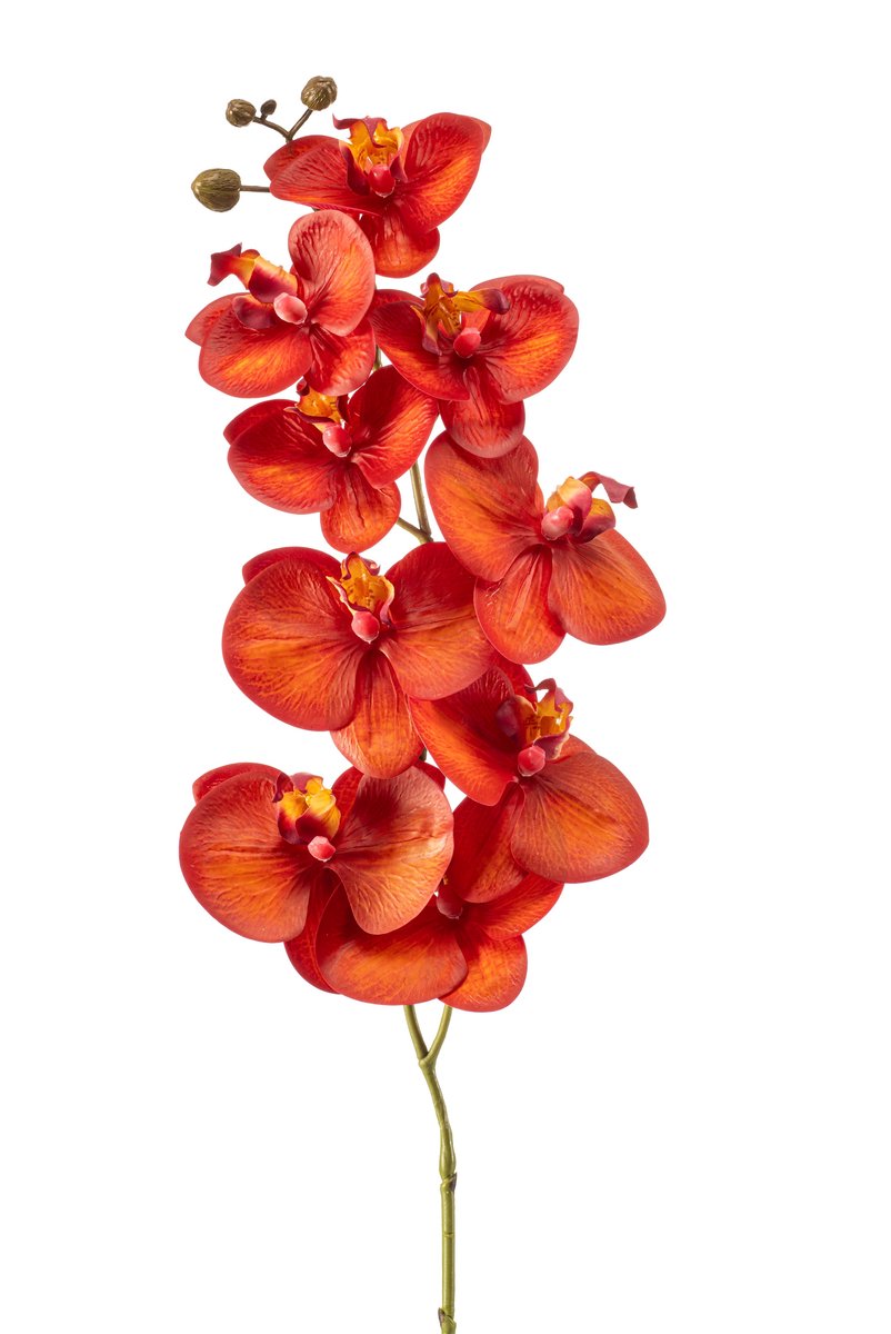 Emerald Kunstbloem Phalaenopsis RT 95cm oranje/rood - Kunstplant voor binnen