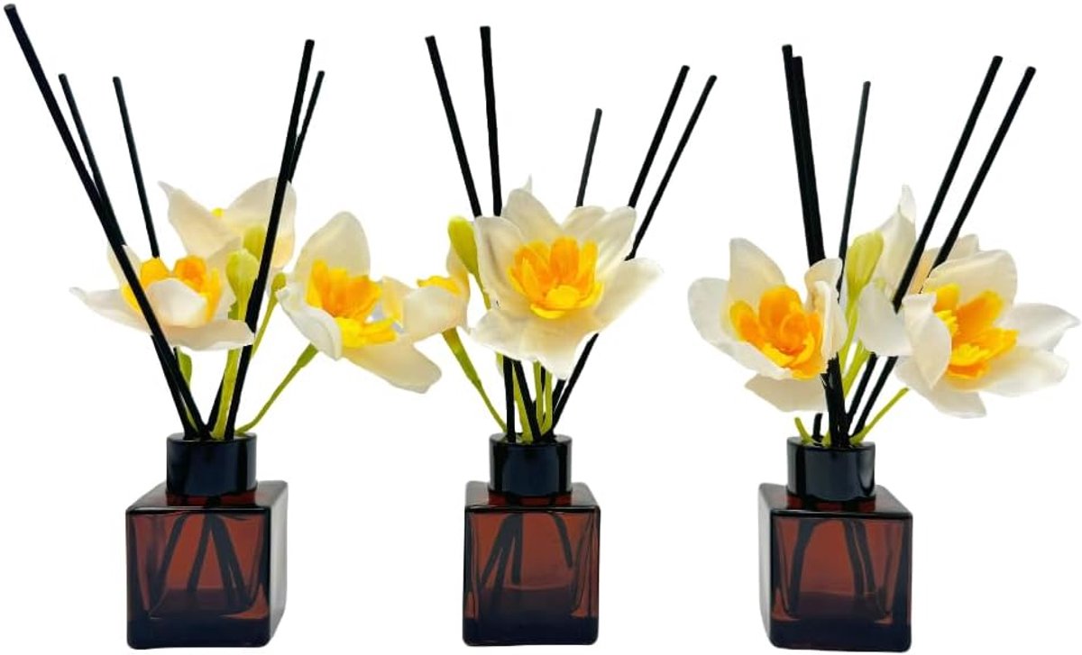 Reed diffuser set 50ml - bruine glazen flessen - met zwarte rietstokken - ideaal voor badkamer en interieur - SnelShoppen