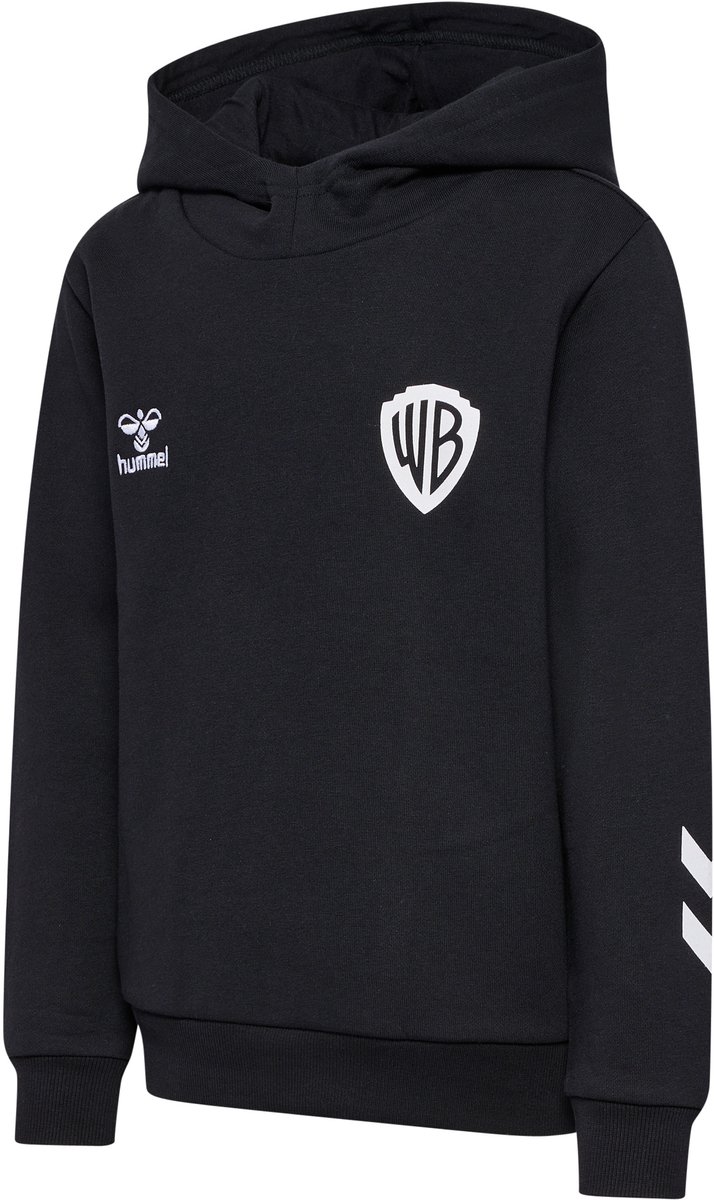 Hmlcelebrating Story Hoodie