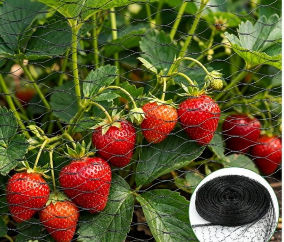 zwart vogelnet, 4 x 6 m vogelweringsnet, plantbeschermingsnet, vogelnetten voor vijvers, moestuinen, bloemen, struiken en fruitbomen (zwart – 4 x 6 m)